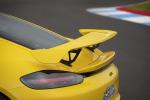 Porsche 718 Cayman GT4 2019 года (WW)